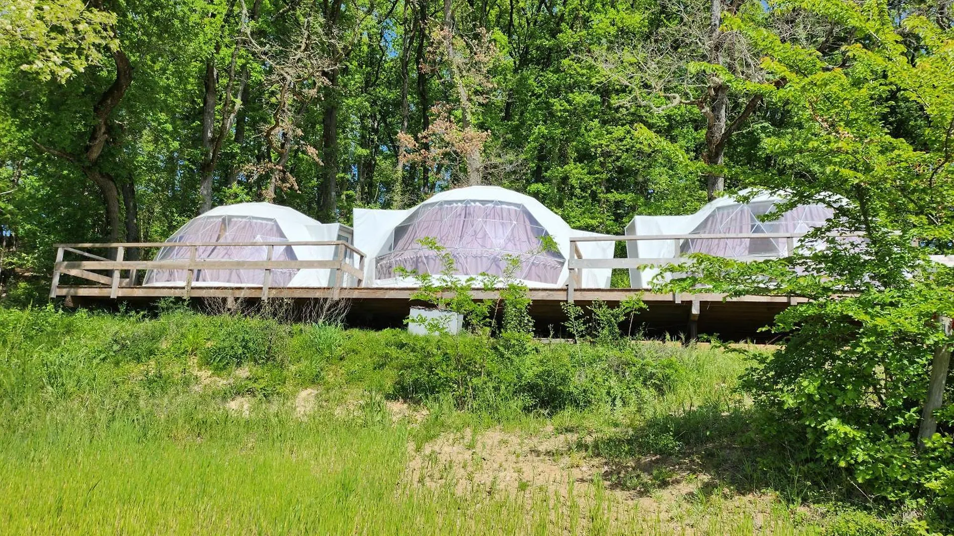 Holiday home Domaine De Massoulac Molieres